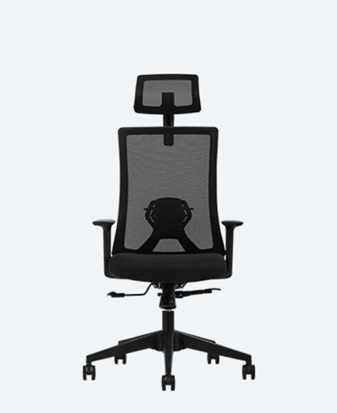 albina müdür – deri – file albina-mudur-file-1500-1