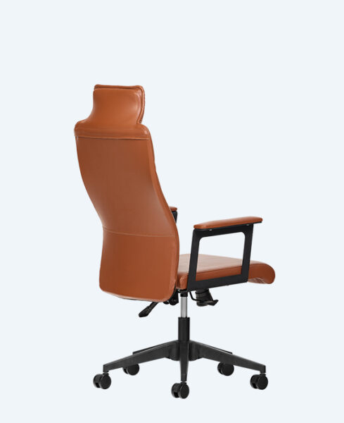 lumbar-yonetici-gorseller (1)