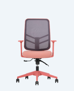 leto-calısma-somon-1