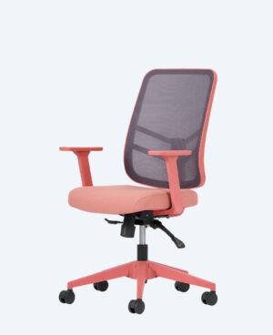 leto-calısma-somon-2