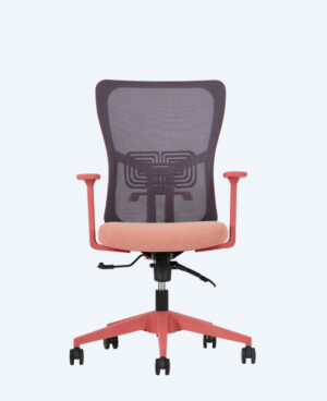 lumbar-calısma-somon-1