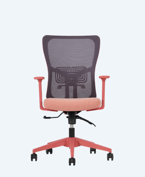 lumbar-calısma-somon-1