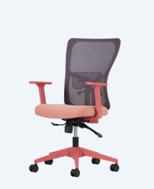 lumbar-calısma-somon-2