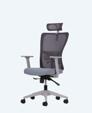 lumbar-yonetici-gri-1