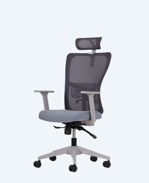 lumbar-yonetici-gri-1