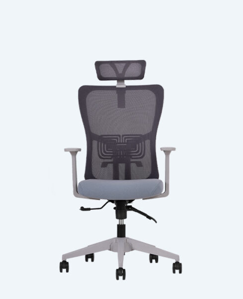 lumbar-yonetici-gri-2