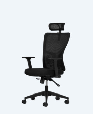 lumbar-yonetici-siyah-2