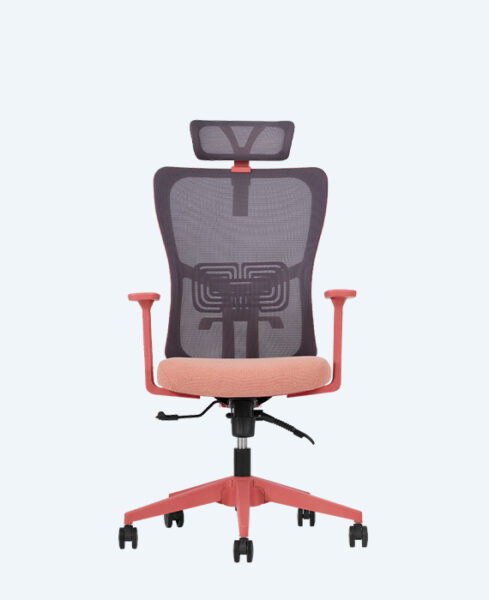 lumbar-yonetici-somon-1