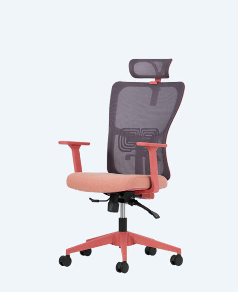 lumbar-yonetici-somon-2