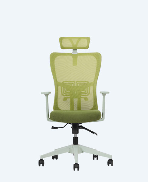 lumbar-yonetici-yesil-1