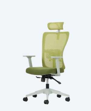 lumbar-yonetici-yesil-2