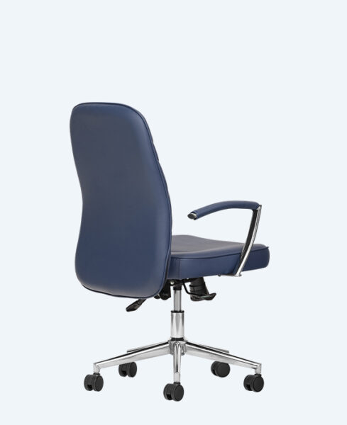 cebra-calisma-gorseller (1)