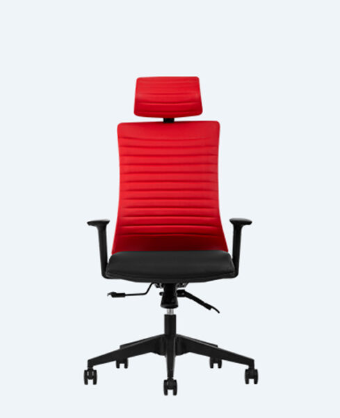 albina müdür – deri – file albina-mudur-kirmizi-deri-1500-1