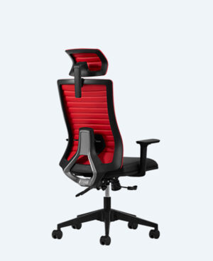 albina müdür – deri – file albina-mudur-kirmizi-deri-1500-4