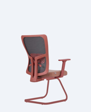 lumbar-somon-Lumbar-Somon-3