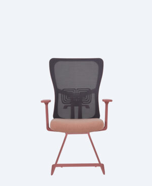 lumbar-somon-Lumbar-Somon